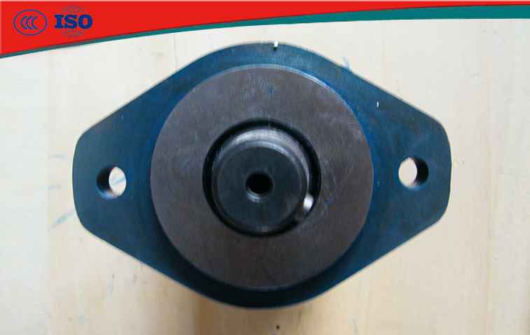 鎮(zhèn)江大力BMT50-250攪拌車液壓馬達(dá)